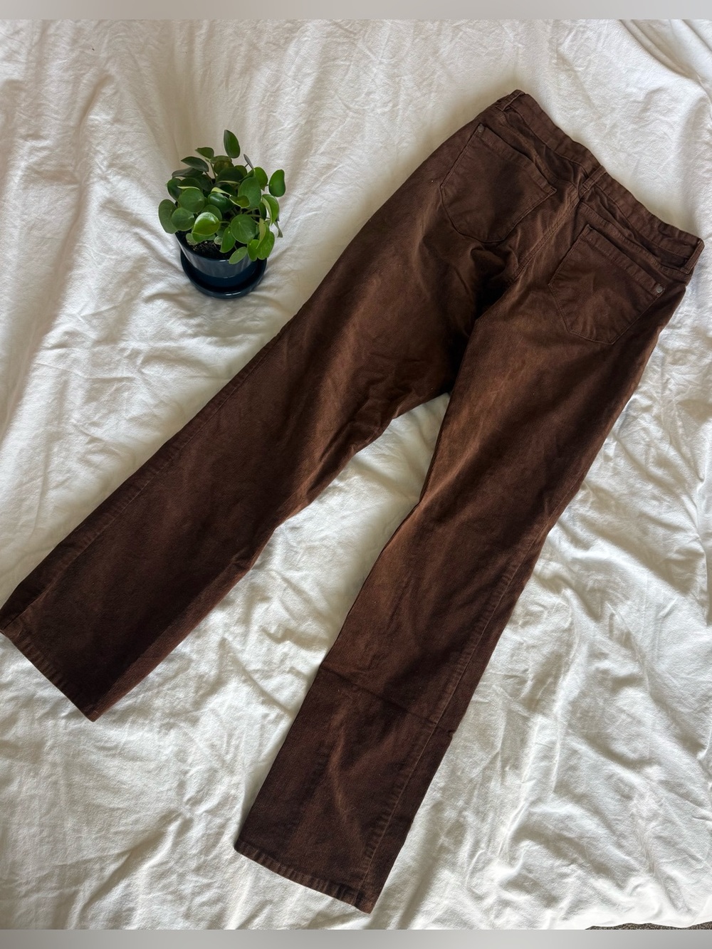 Well Worn Women's Dark Brown Corduroy Pants - Picture 2 of 5